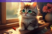 小猫流泪的秘密，小猫为何流泪