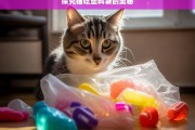 探究猫吃塑料袋的奥秘，猫为何吃塑料袋之探究