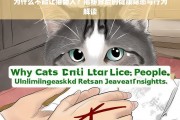 猫舔人的健康隐患与行为解读，为什么不能让猫舔人？