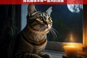 探究猫咪半夜一直叫的原因，猫咪半夜一直叫的原因探究