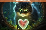 探秘猫的心跳之谜，猫的心跳探秘