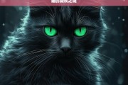 猫的凝视之谜，探索猫的凝视之谜