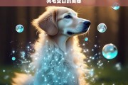 狗毛变白的奥秘，狗毛变白的原因探究