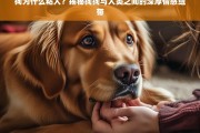 狗狗为何如此粘人？揭秘它们与人类之间的深厚情感纽带