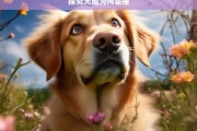 探究犬瘟为何会抽，犬瘟为何导致抽搐现象探究