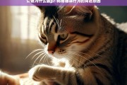 公猫舔JJ的原因，揭秘猫咪行为的背后动机