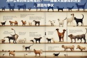 揭秘犬类断尾，历史、原因与争议