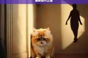 猫咪胆小之谜，猫咪为何胆小