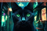 猫的夜生活之谜，揭秘猫的夜生活