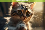 猫咪舔自己的奥秘，猫咪为何舔自己