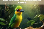 画眉鸟为何惧怕同类？——鸟类恐惧心理与生存策略解析