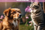 探究狗为何欺负猫，狗欺负猫的原因探究