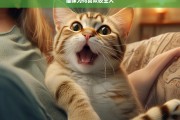 猫咪为何喜欢咬主人，猫咪喜欢咬主人的原因