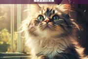 猫咪蹭蹭的奥秘，猫咪蹭蹭行为的秘密解析