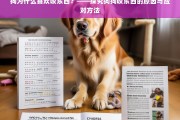 狗狗咬东西的原因与应对策略解析