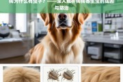 狗狗寄生虫的成因与防治全解析