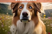 关于高加索犬剪耳的探讨，高加索犬剪耳问题探讨