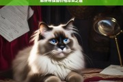 解析布偶猫价格昂贵之谜，布偶猫价格昂贵的原因解析