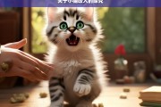 关于小猫咬人的探究，小猫咬人的原因及应对探究