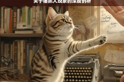 关于猫抓人现象的深度剖析，猫抓人现象深度剖析