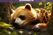 金丝熊的睡眠之谜，揭秘金丝熊的睡眠之谜