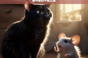 猫与鼠的不解之缘，猫鼠之缘