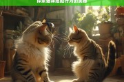 探索猫咪抱腿行为的奥秘，猫咪抱腿行为探秘