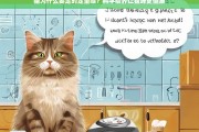 定时定量喂养，科学方法让猫咪更健康