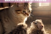 猫妈妈吃小猫的原因，揭秘动物行为背后的真相