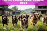 土狗为何不易生病？揭秘其强大生存能力与健康秘诀