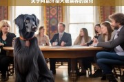 关于阿富汗猎犬被禁养的探讨，阿富汗猎犬禁养之探讨