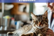 关于猫绝育的探讨，猫绝育之探讨