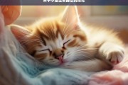 关于小猫坐着睡觉的探究，小猫为何坐着睡觉