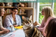 关于猫咪绝育的探讨，猫咪绝育之探讨