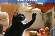 关于猫打人现象的探究，猫打人现象之探究