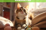 探究猫发情粘人现象，猫发情为何粘人