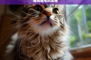 猫咪舔毛的奥秘，猫咪舔毛的奥秘探究