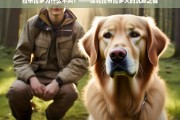 拉布拉多犬为何沉默？——揭秘其不叫的原因