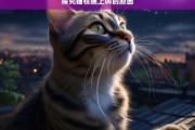 探究猫在晚上叫的原因，猫为何在晚上叫