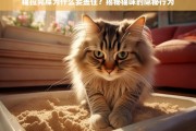 猫咪盖屎行为背后的秘密，本能与卫生的双重考量