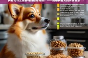 柯基犬的饮食需求，为何特别选择狗粮至关重要？