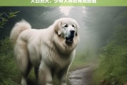 大白熊犬，少有人养的背后原因，大白熊犬少有人养的缘由