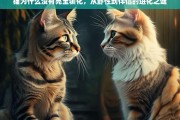 猫的野性与驯化，从独立猎手到人类伴侣的进化之谜