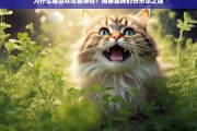 猫薄荷的魔力，揭秘猫咪为何痴迷于这种快乐草