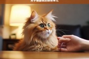 关于猫舔我的那些事儿，猫舔我的那些事儿