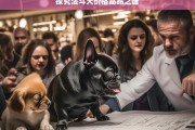 探究法斗犬价格高昂之谜，法斗犬价格高昂的原因探究