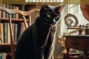 探究猫喜欢咬头发的奥秘，猫为何喜欢咬头发