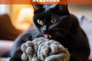 关于猫磨牙的探究，猫磨牙现象解析