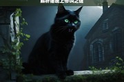 解析猫晚上惨叫之谜，猫晚上惨叫的原因解析