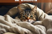 揭秘，猫为何喜欢与人睡，猫喜欢与人睡的原因揭秘